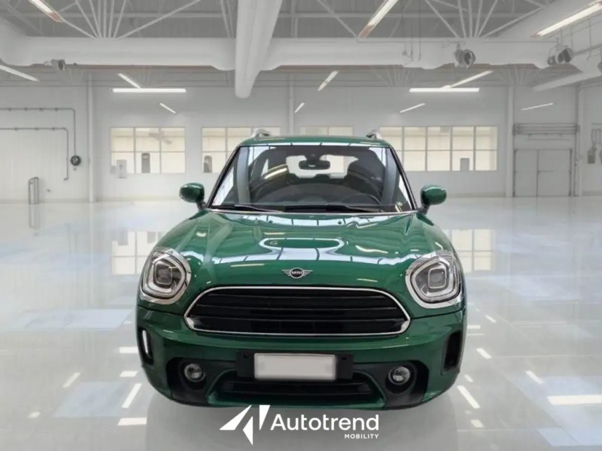 MINI Mini Countryman usata a Bari (3)