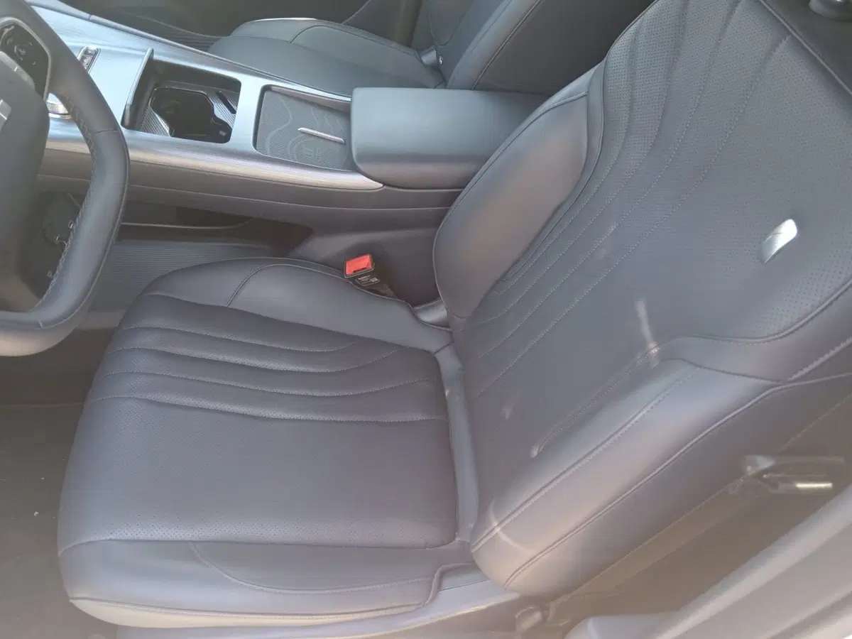 Geely EX5 usata a Alessandria (13)