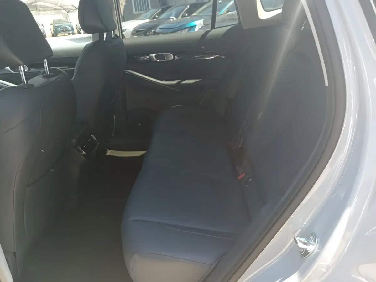 Geely EX5 usata a Alessandria (14)