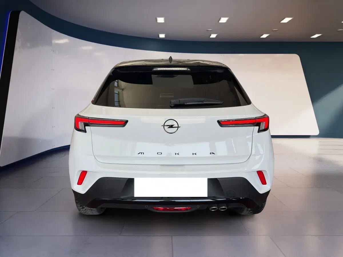 Opel Mokka usata a Torino (5)