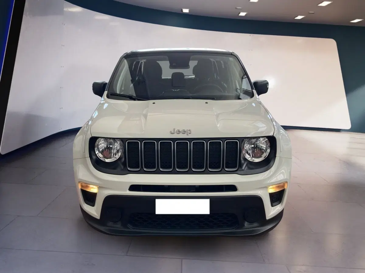 Jeep Renegade usata a Torino