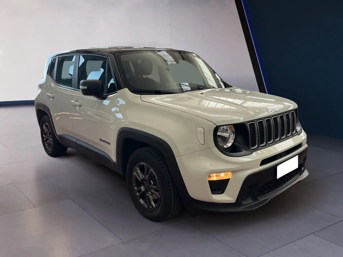 Jeep Renegade usata a Torino (2)