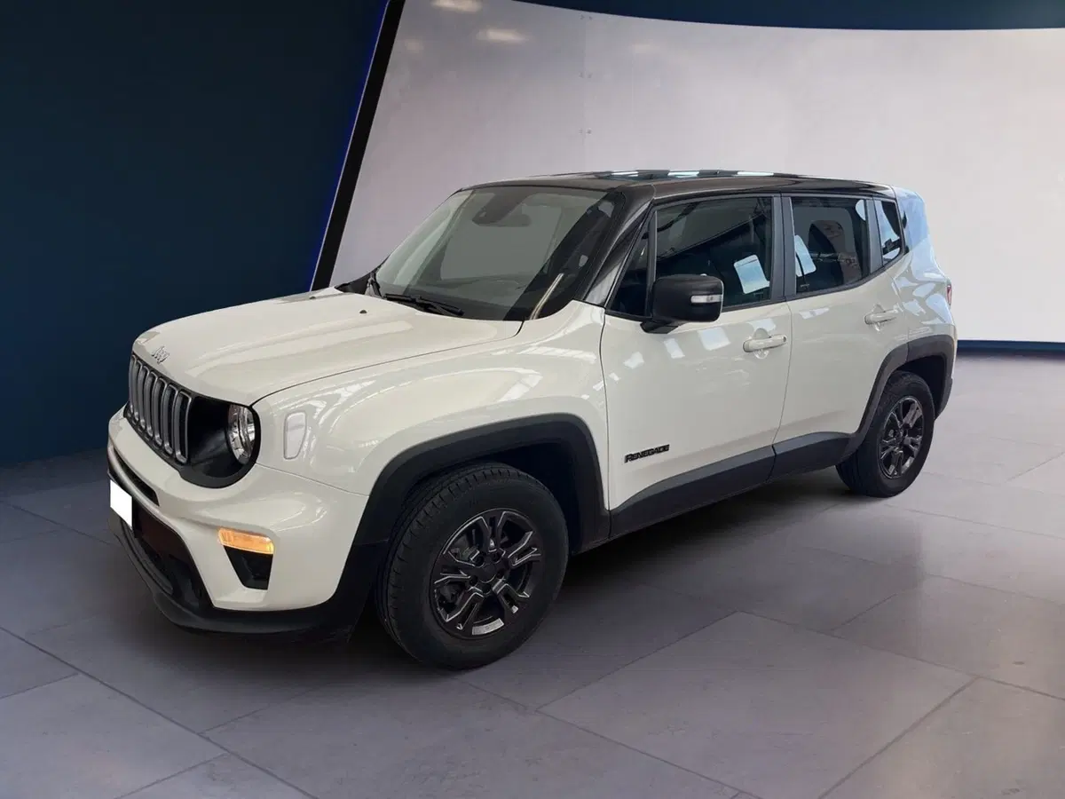 Jeep Renegade usata a Torino (3)