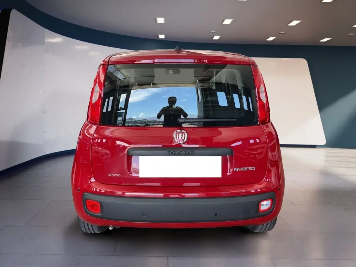 Fiat Pandina nuova a Torino (5)