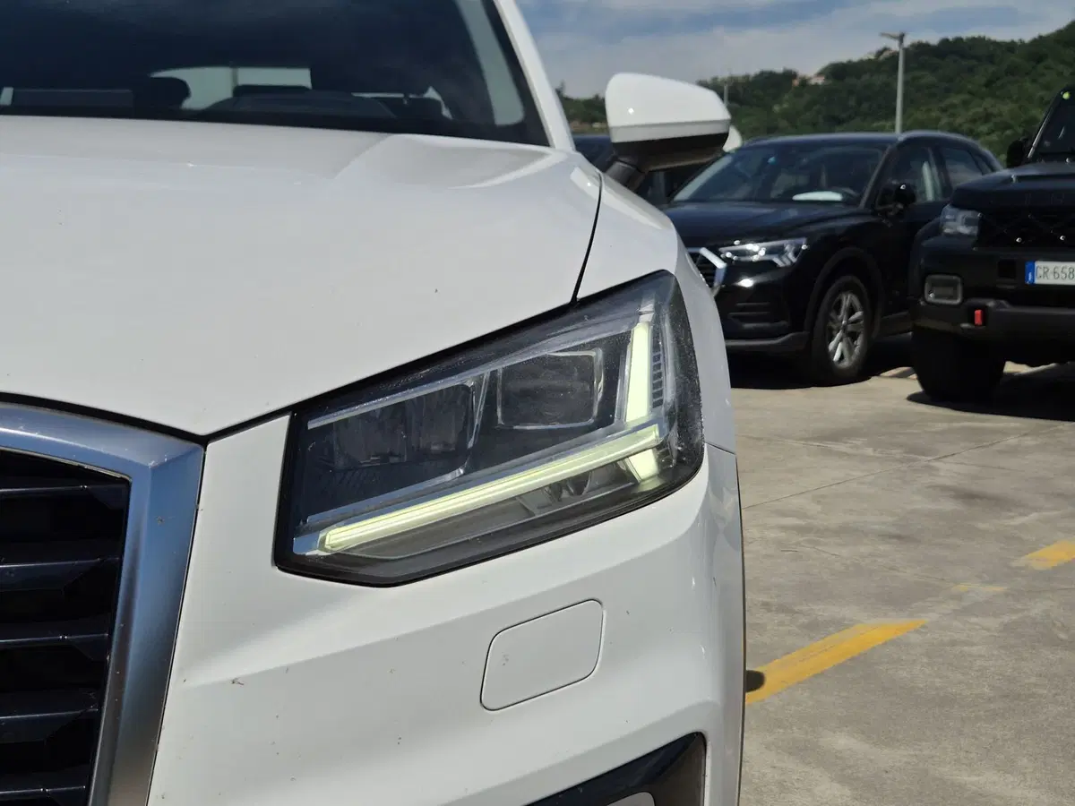 Audi Q2 usata  (17)