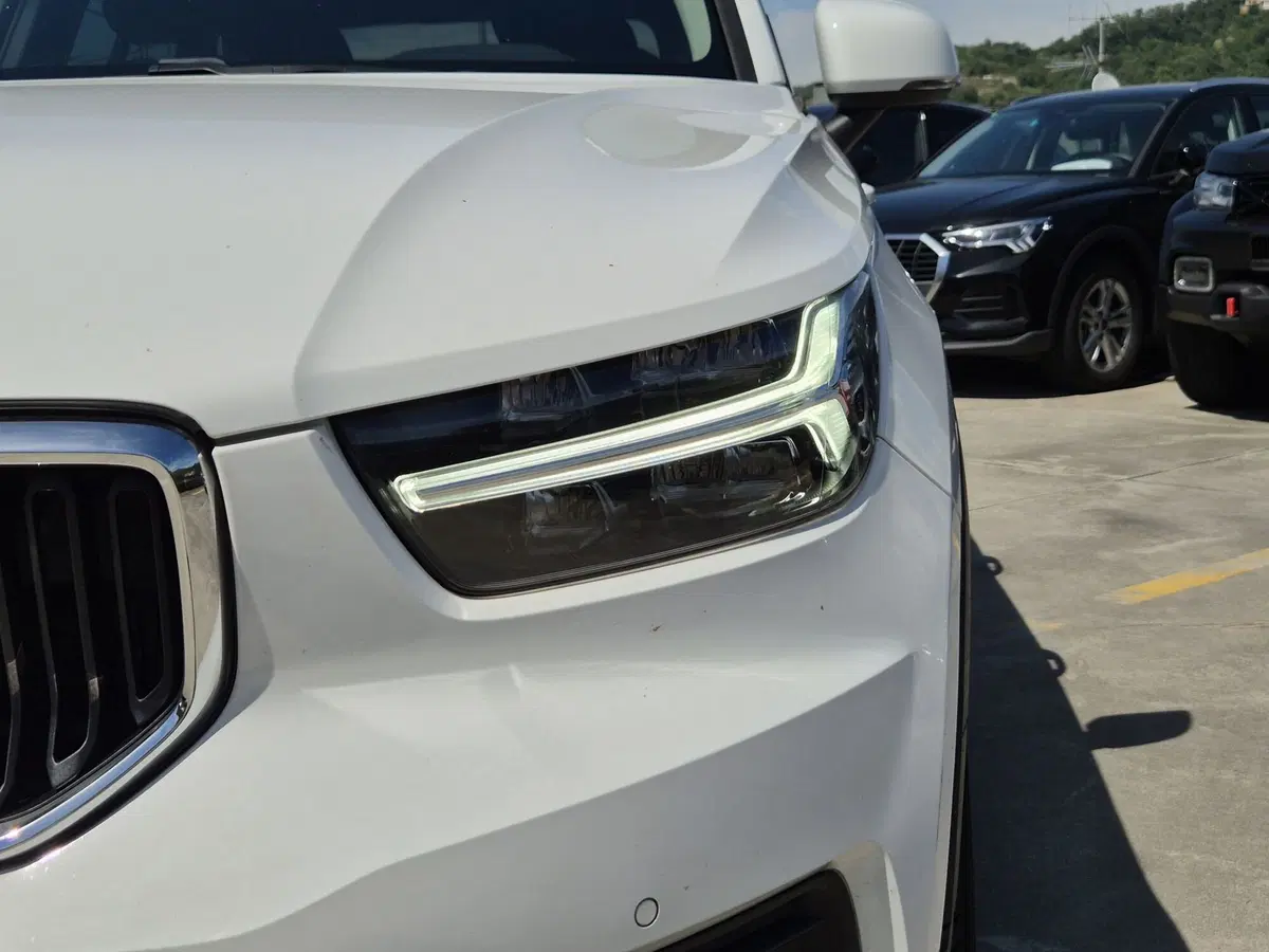 Volvo XC40 usata  (16)