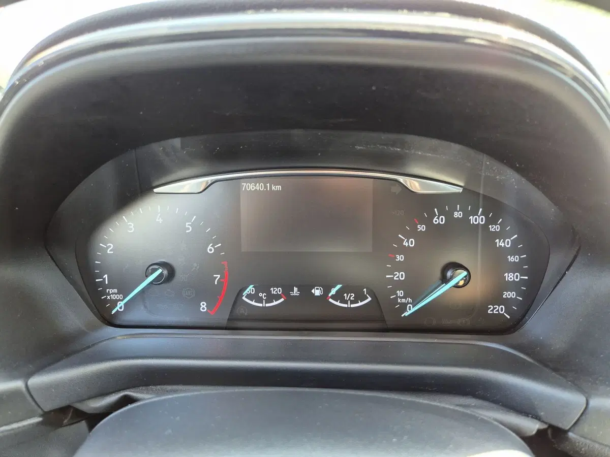 Ford Puma usata  (14)