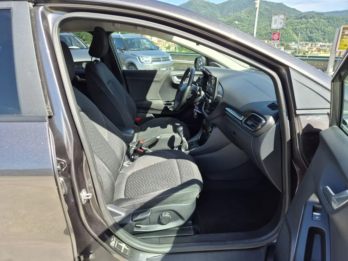 Ford Puma usata  (9)