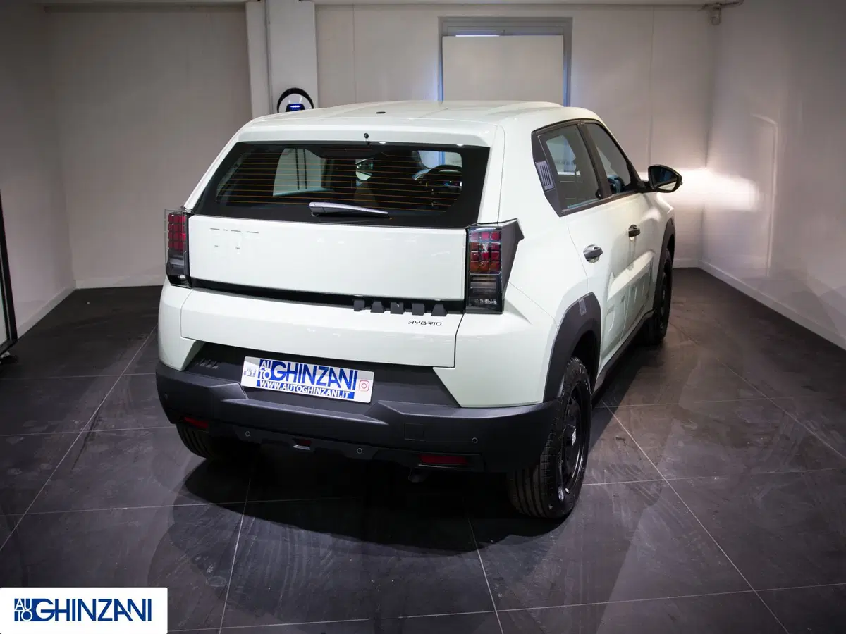 Fiat Grande Panda nuova a Bergamo (7)