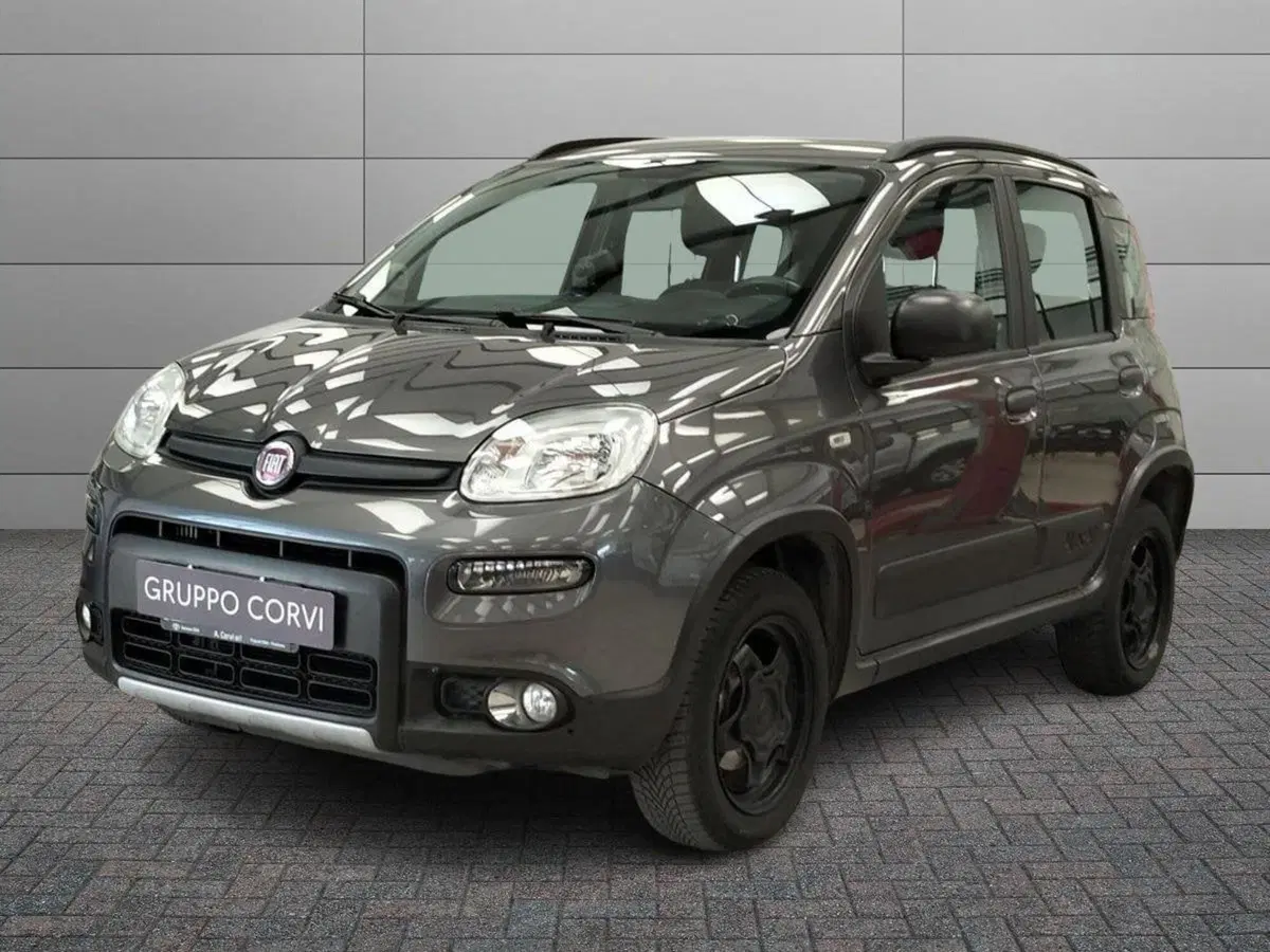 Fiat Panda usata a Roma
