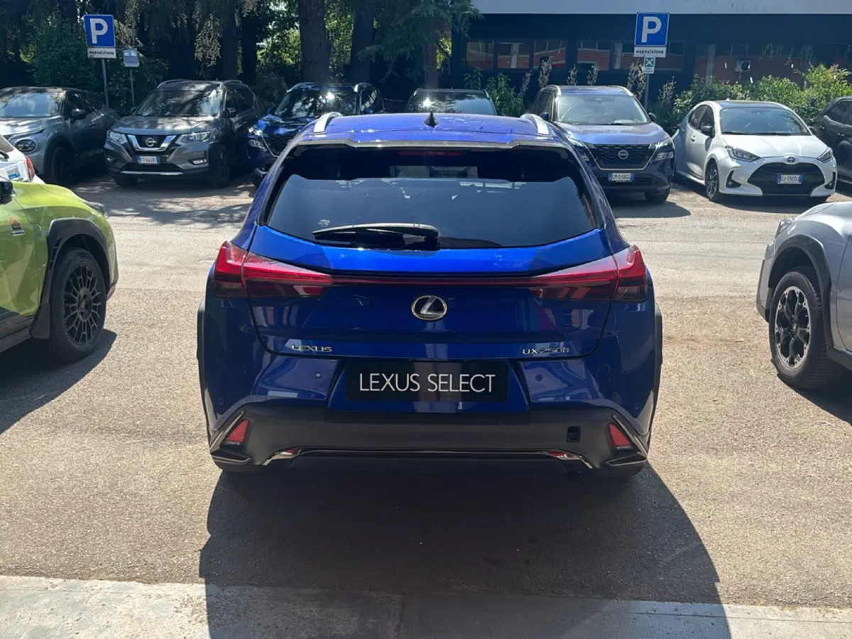 Lexus UX usata a Bologna (14)