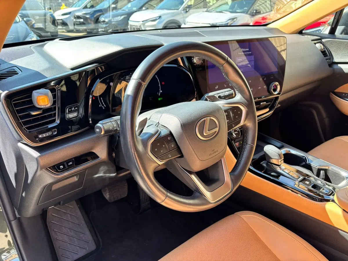 Lexus NX usata a Modena (11)