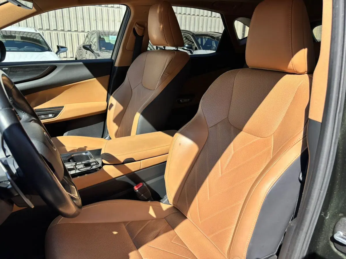 Lexus NX usata a Modena (13)