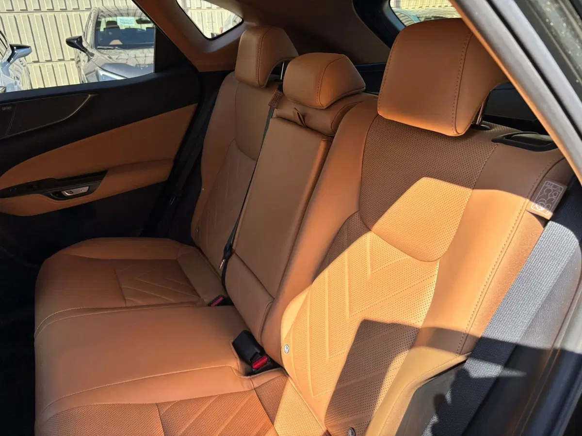 Lexus NX usata a Modena (14)