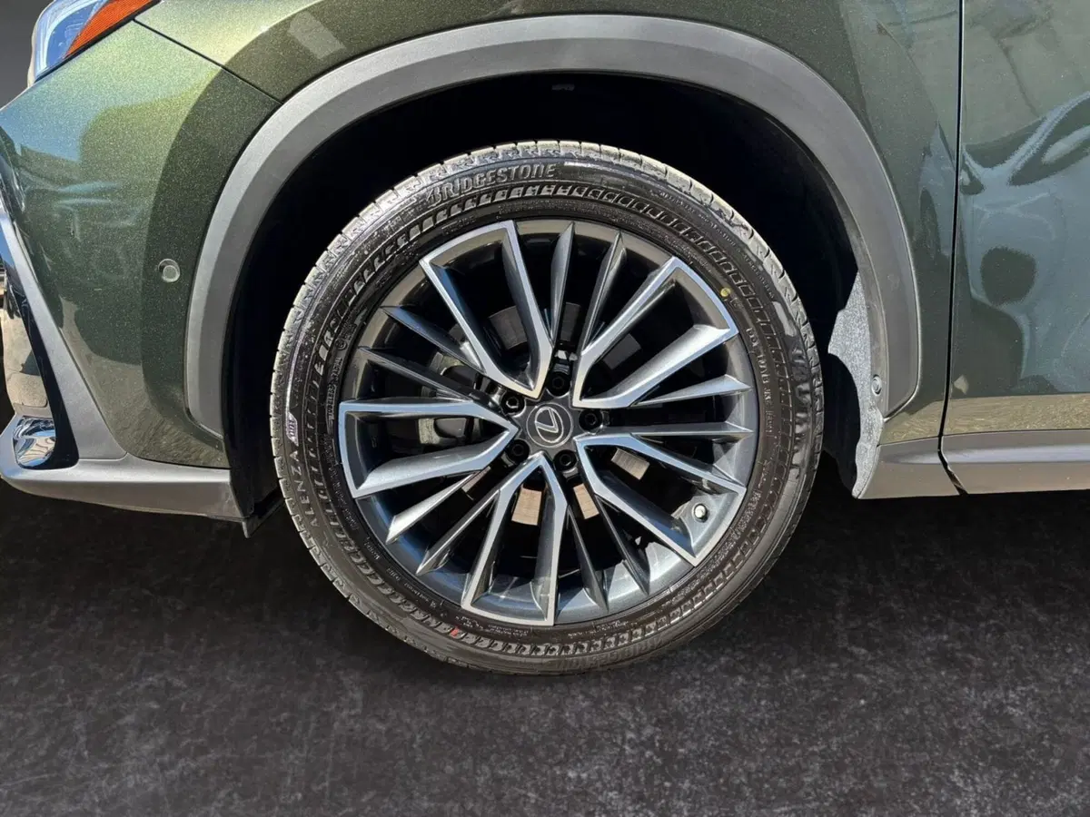 Lexus NX usata a Modena (15)