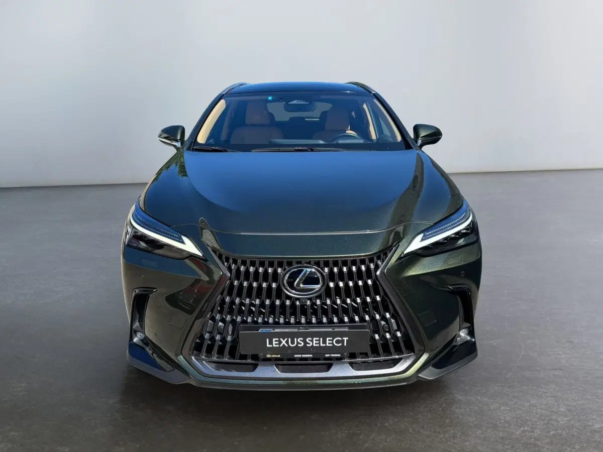 Lexus NX usata a Modena (2)