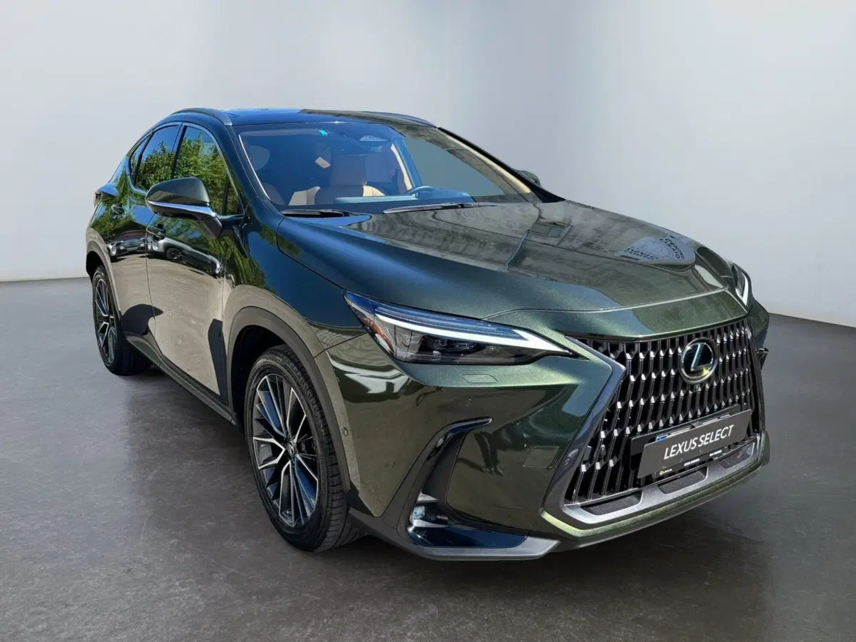 Lexus NX usata a Modena (3)