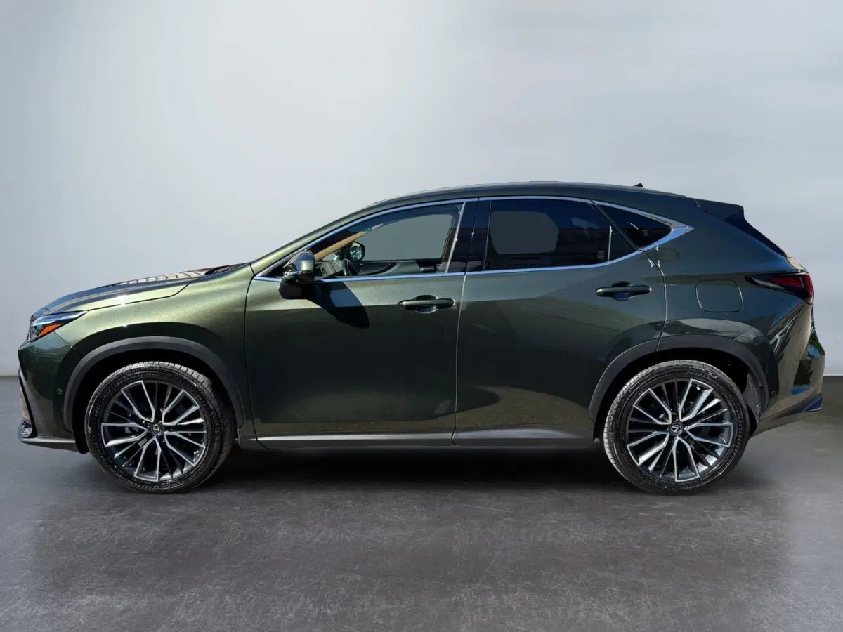 Lexus NX usata a Modena (4)