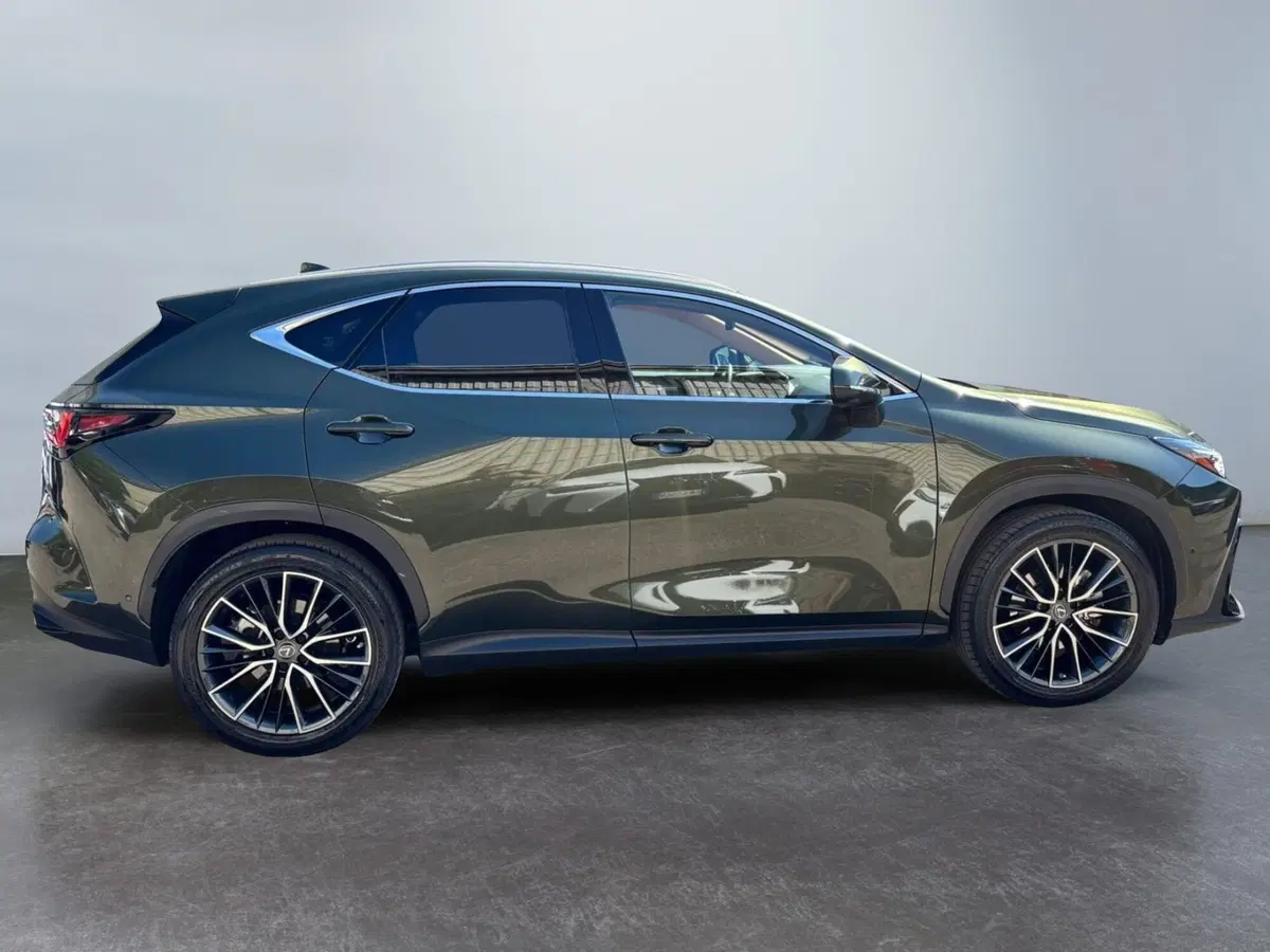 Lexus NX usata a Modena (5)