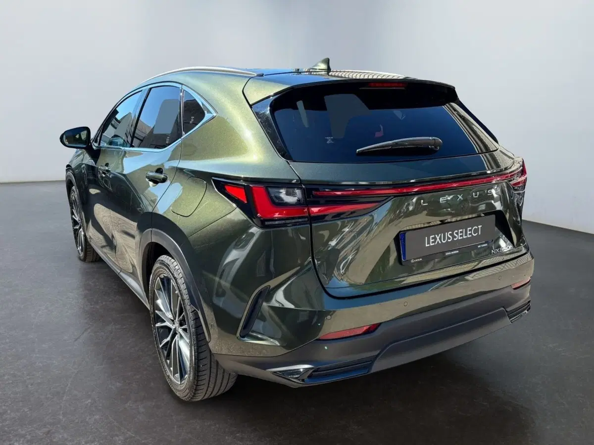 Lexus NX usata a Modena (7)