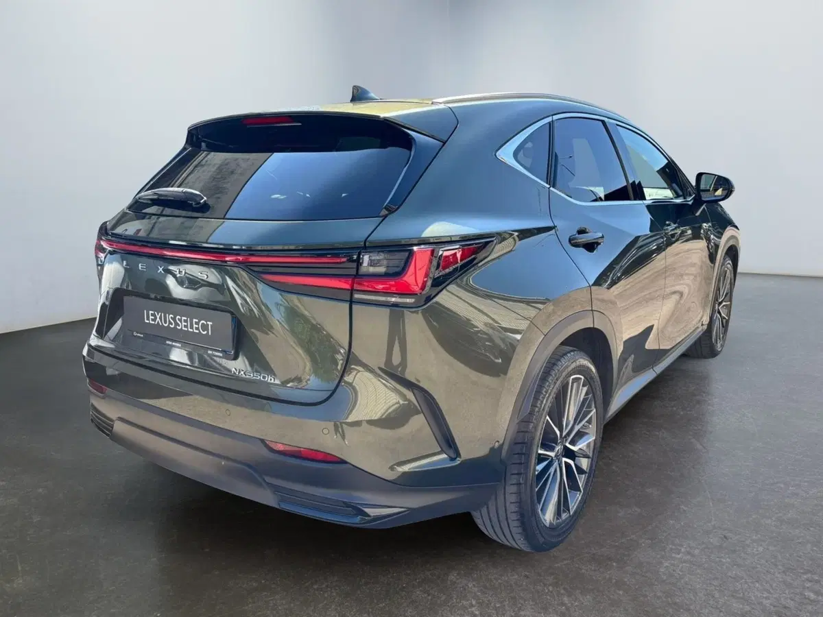 Lexus NX usata a Modena (8)