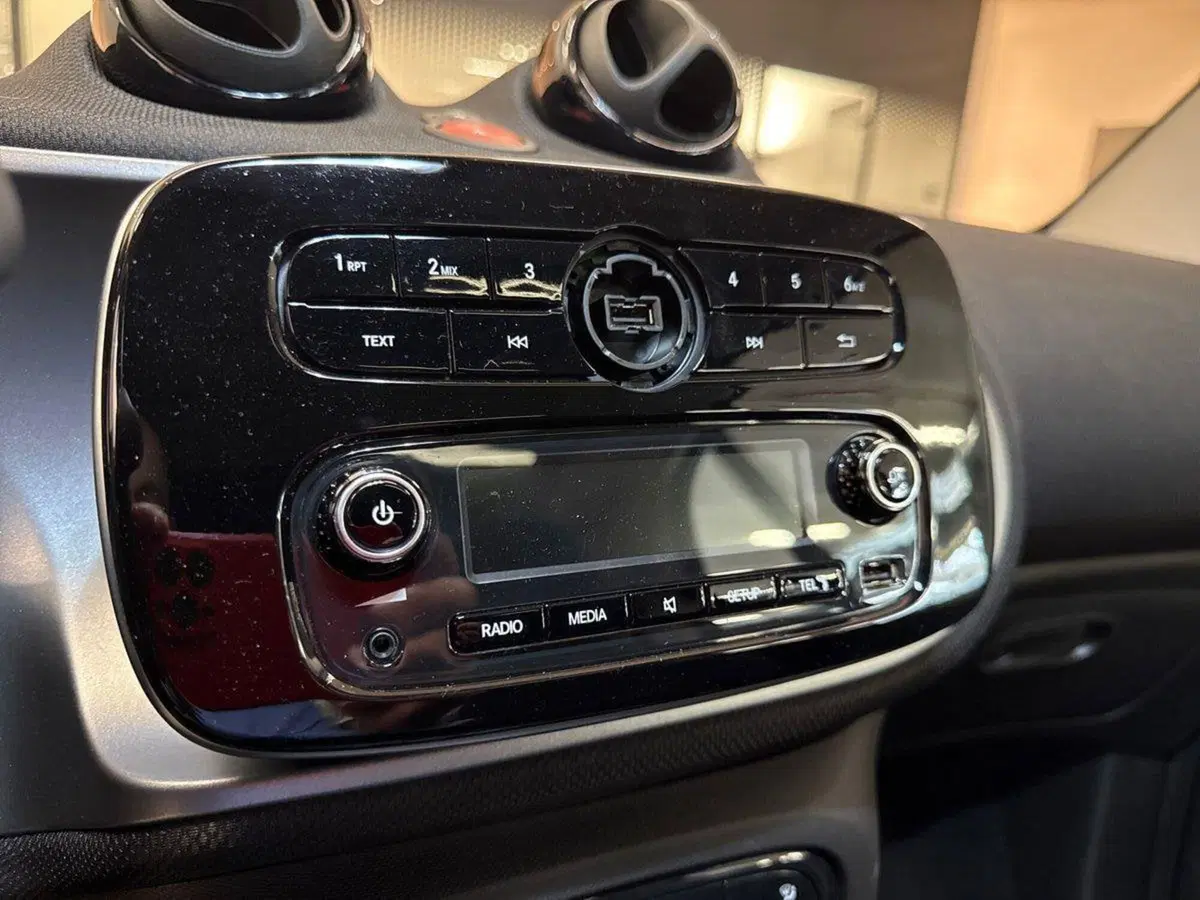 smart Fortwo usata a Monza e Brianza (12)