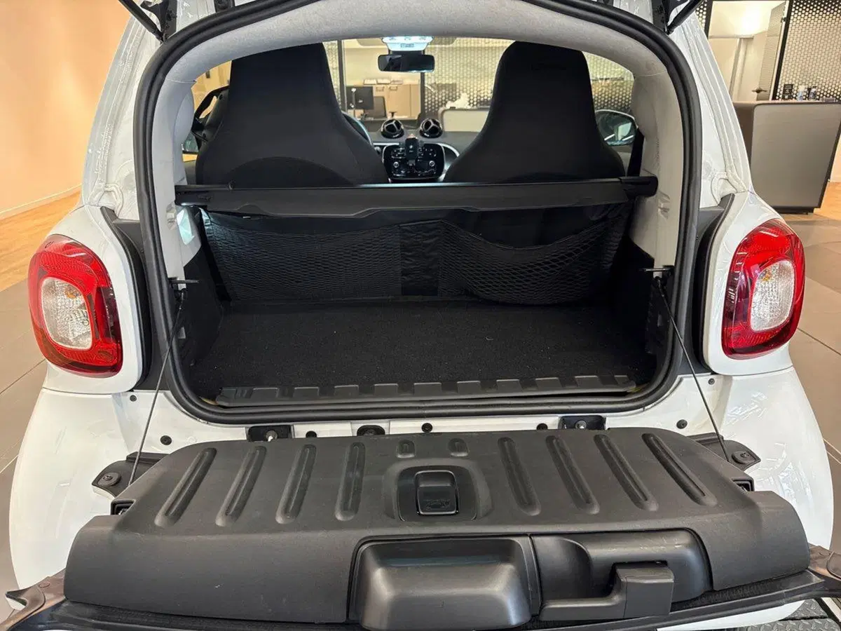 smart Fortwo usata a Monza e Brianza (8)