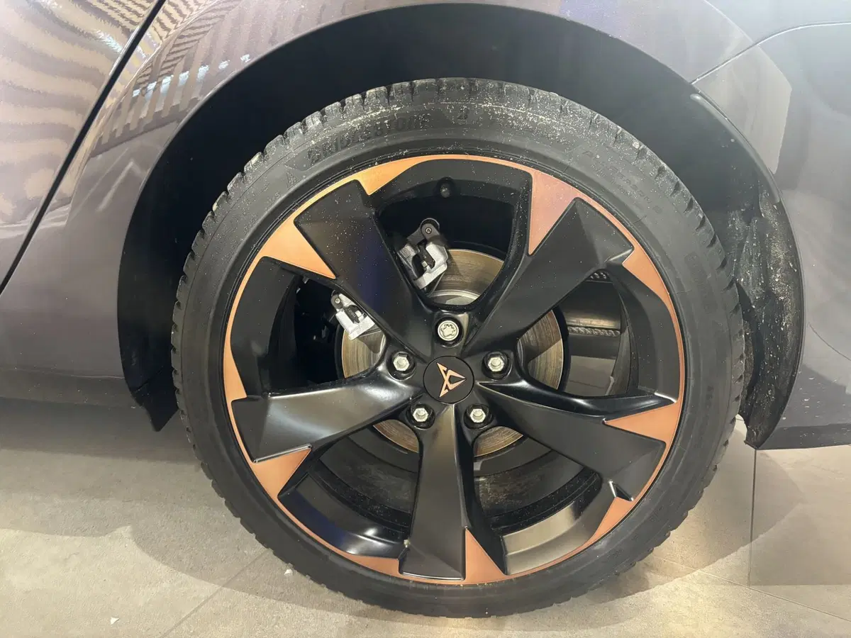 Cupra Leon Station Wagon nuova a Ferrara (8)