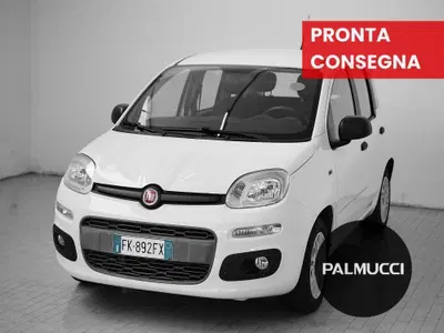 Fiat Panda 1.2 Easy del 2017 usata a Prato