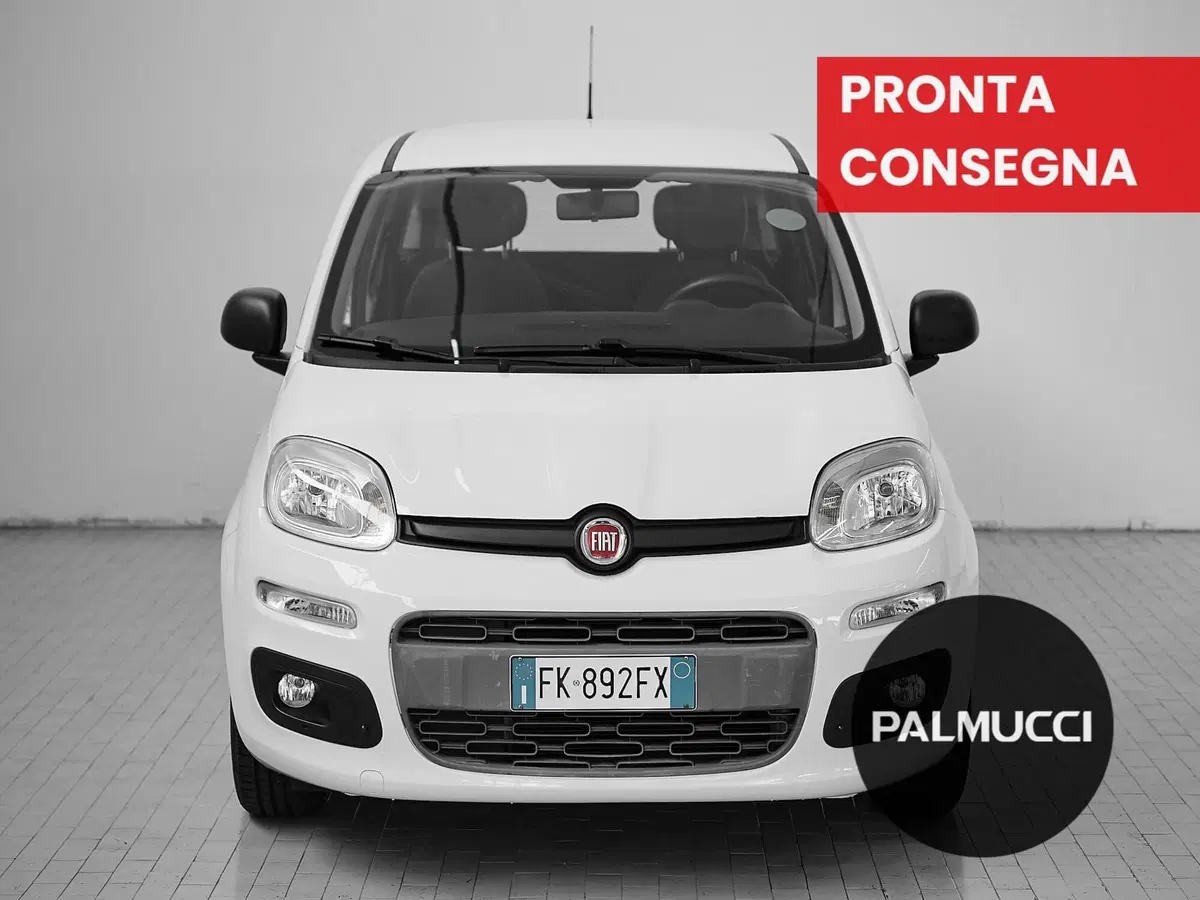 Fiat Panda usata a Prato (2)
