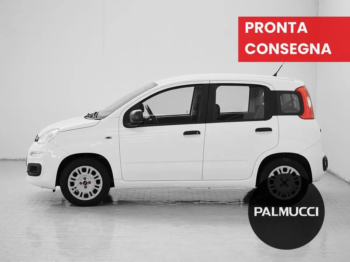 Fiat Panda usata a Prato (4)