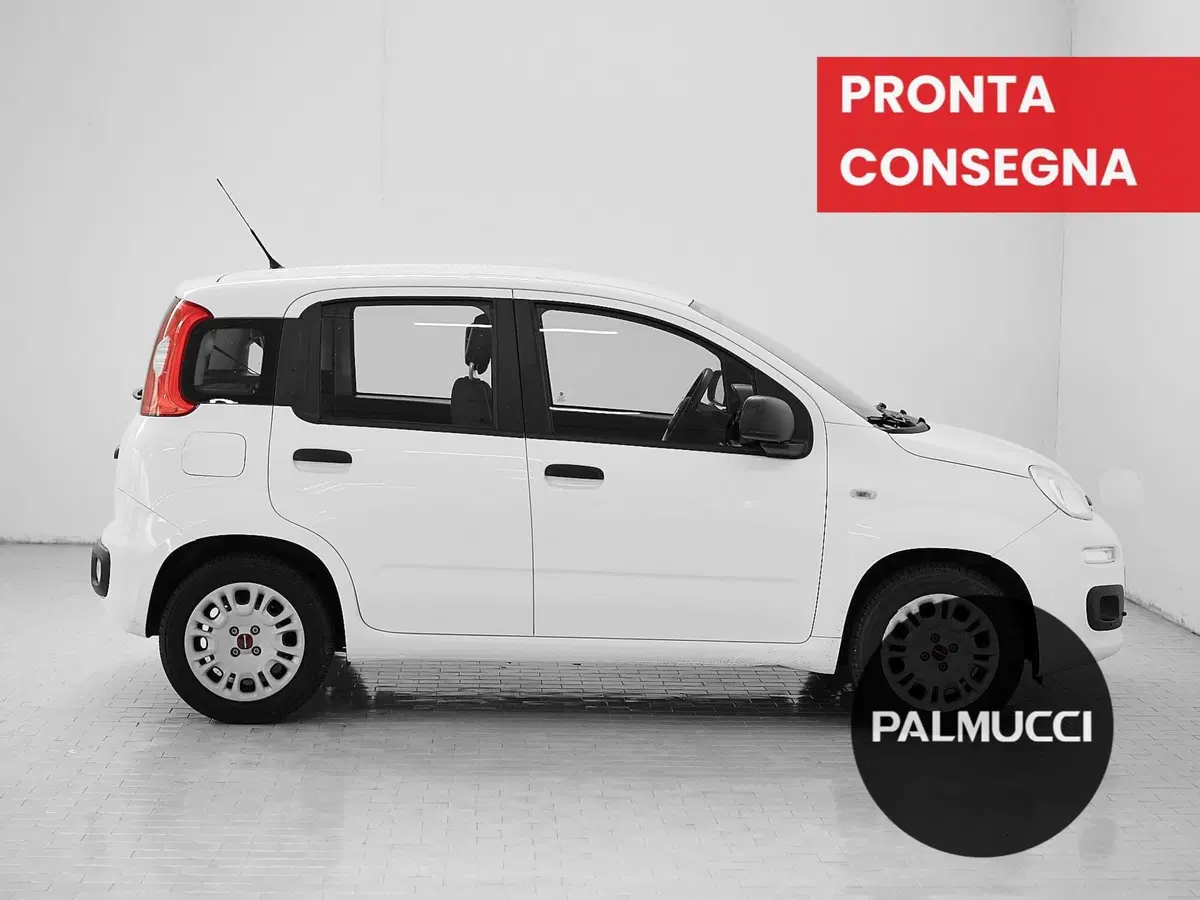 Fiat Panda usata a Prato (5)