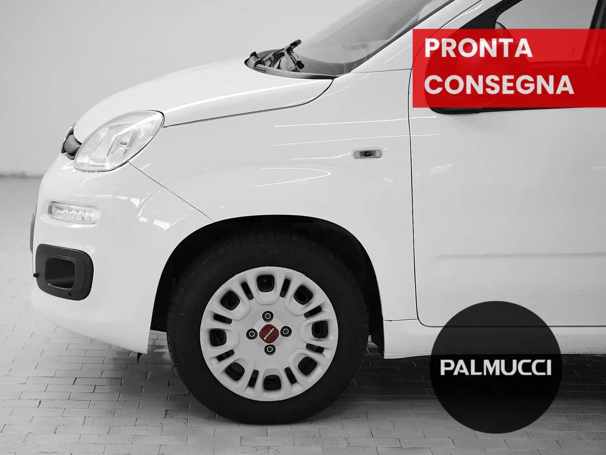 Fiat Panda usata a Prato (6)
