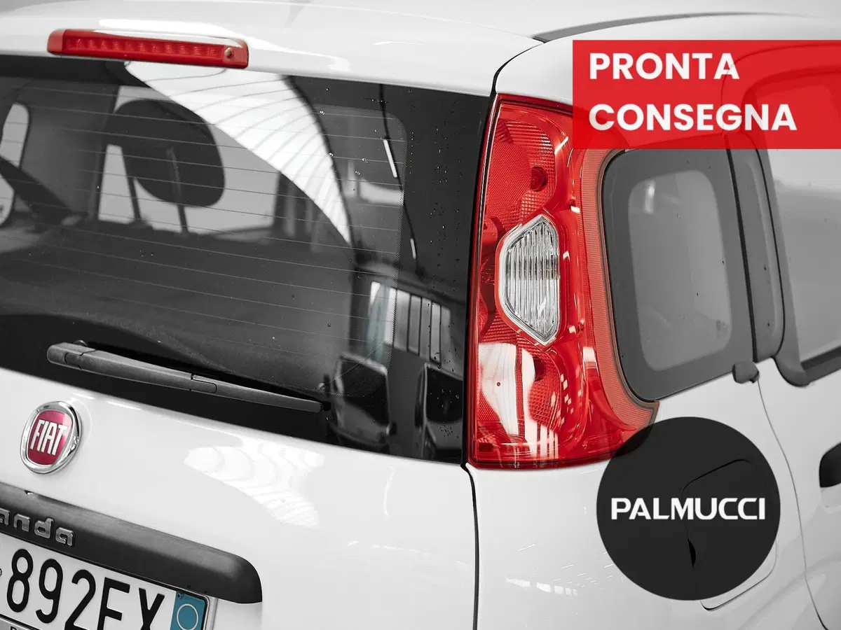 Fiat Panda usata a Prato (8)