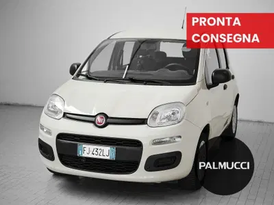 Fiat Panda 1.2 Easy del 2017 usata a Prato