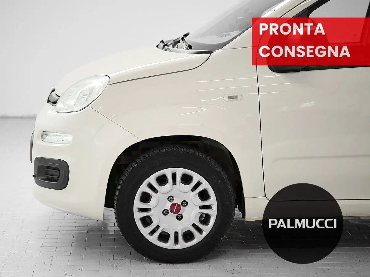 Fiat Panda usata a Prato (7)
