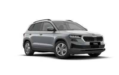 Skoda Karoq 2.0 tdi Executive 4x4 150cv dsg nuova a Torino