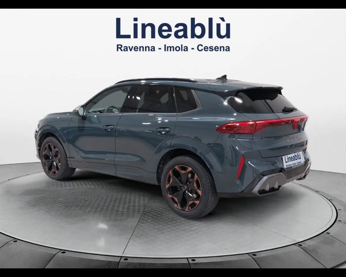 Cupra Terramar usata a Forlì-Cesena (3)