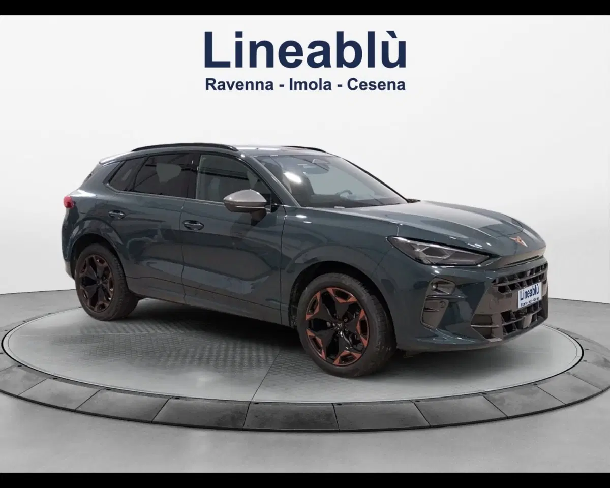 Cupra Terramar usata a Forlì-Cesena (7)