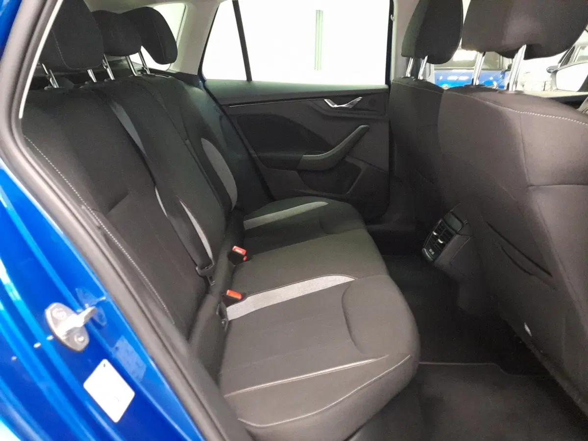 Skoda Kamiq usata a Bologna (19)