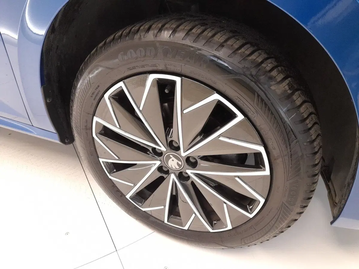 Skoda Kamiq usata a Bologna (7)