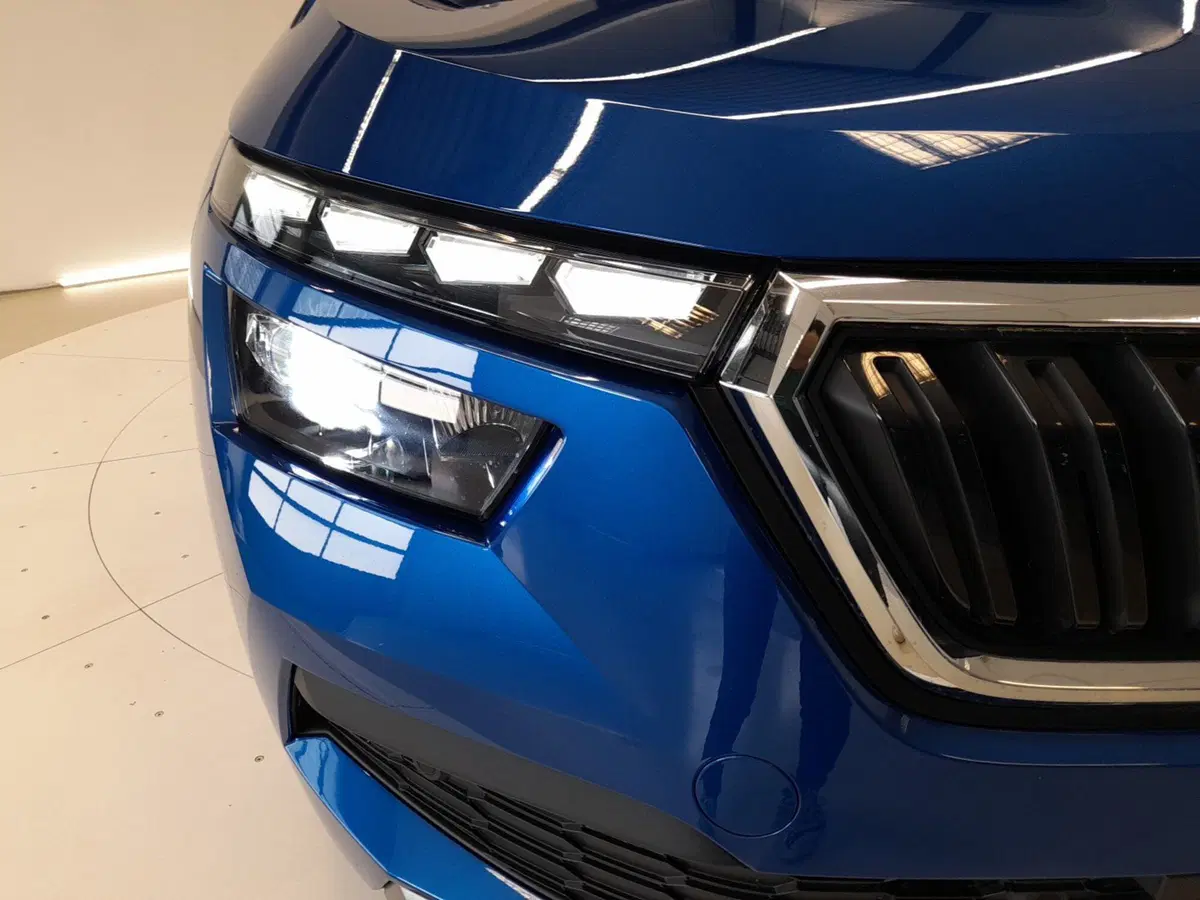 Skoda Kamiq usata a Bologna (8)