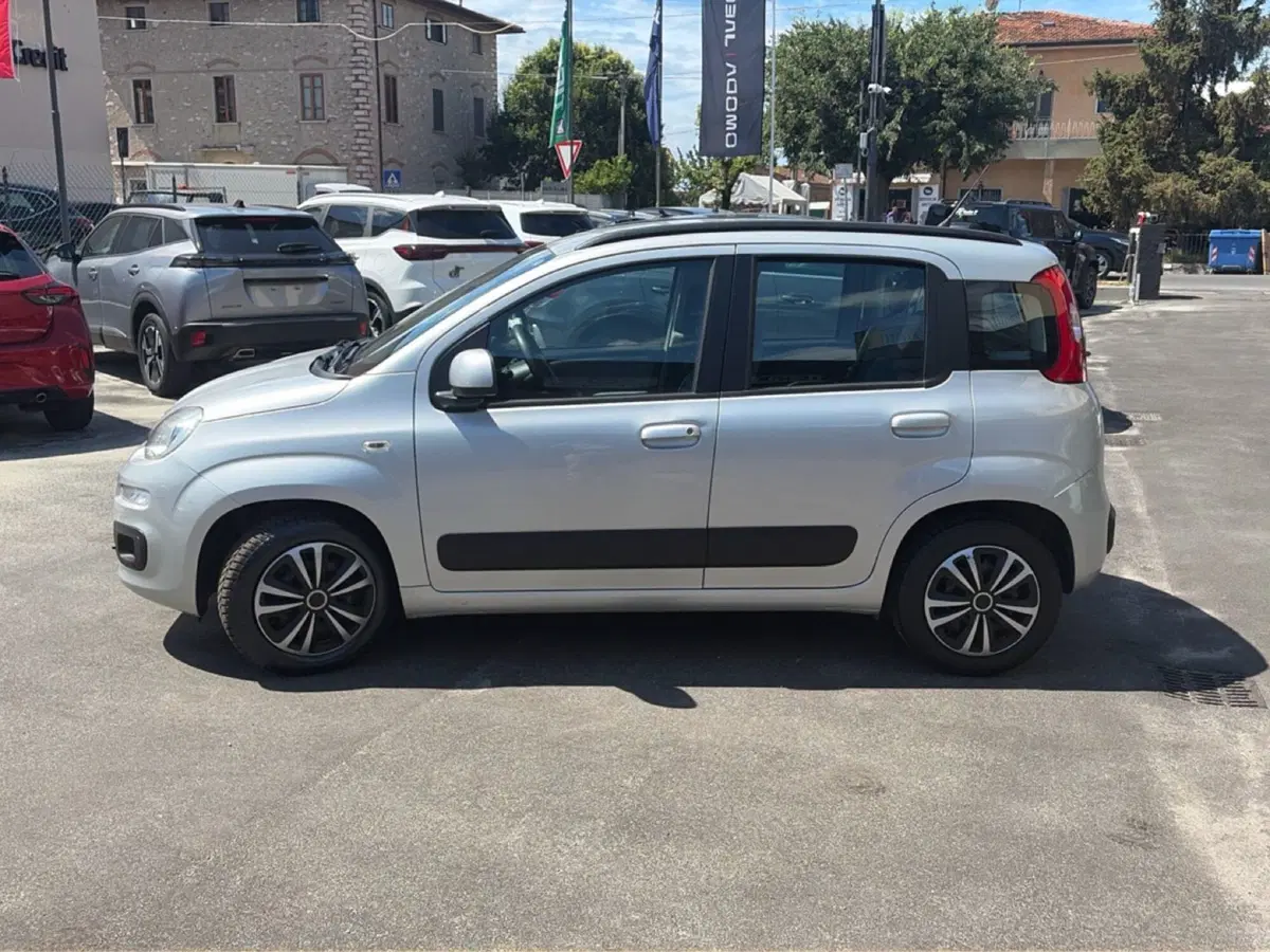 Fiat Panda usata a Lucca (2)
