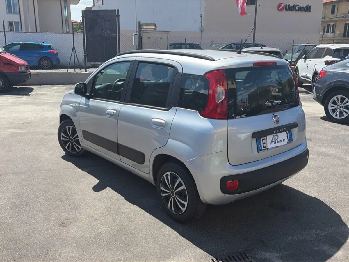 Fiat Panda usata a Lucca (3)