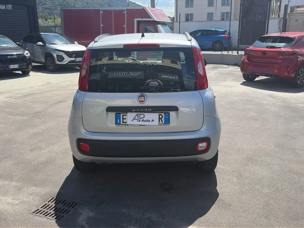 Fiat Panda usata a Lucca (4)