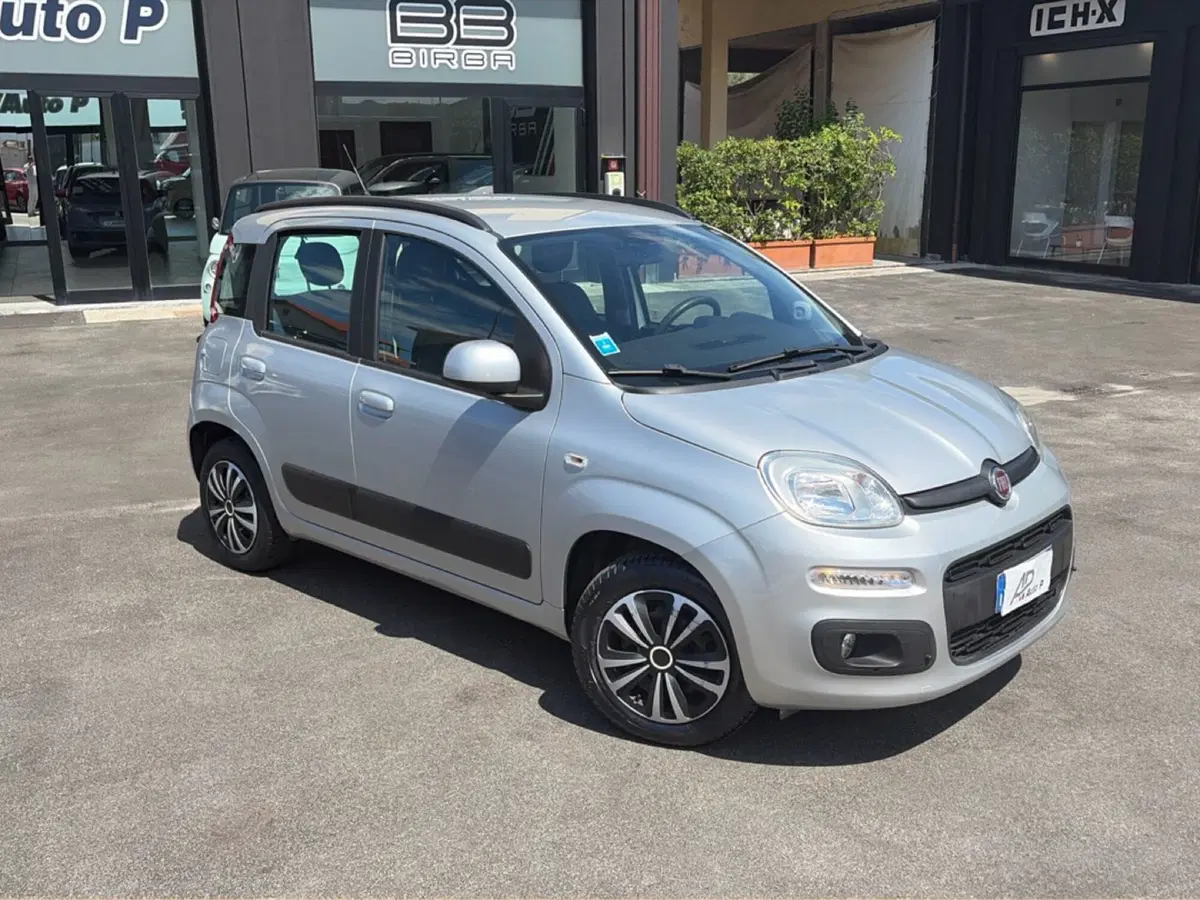 Fiat Panda usata a Lucca (8)
