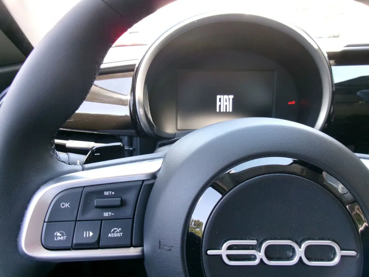 Fiat 600 usata a Venezia (13)