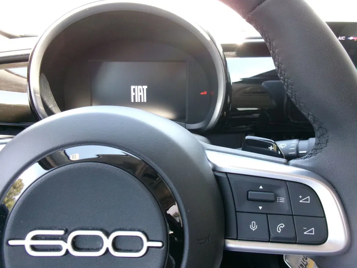 Fiat 600 usata a Venezia (14)
