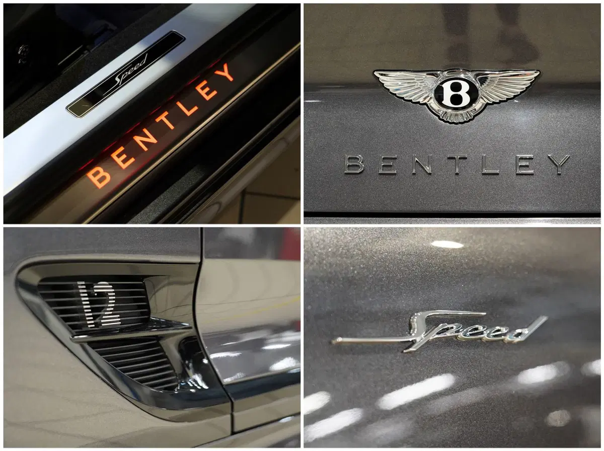 Bentley Continental GT usata a Milano (12)