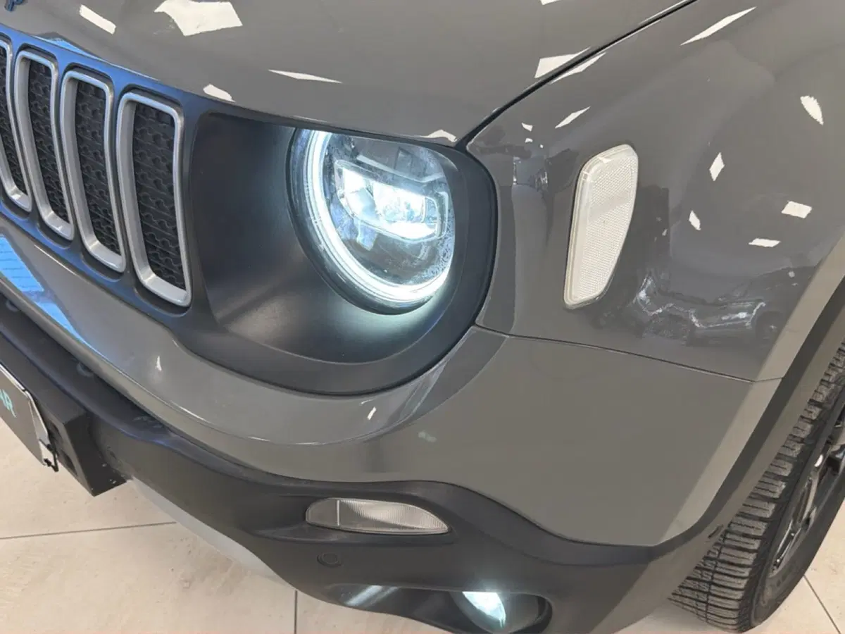 Jeep Renegade usata a Palermo (2)